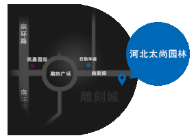 公司地位