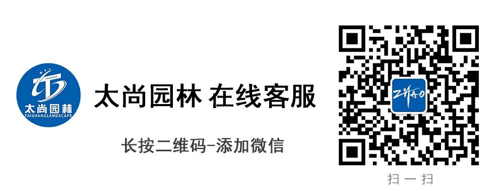 九游会在线·(中国)首页